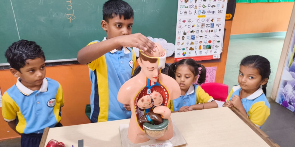 WhatsApp Image 2025-11-21 at 12.00.34 PM (1)