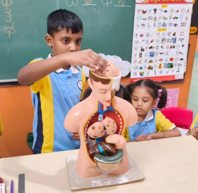 WhatsApp Image 2025-11-21 at 12.00.34 PM (1)